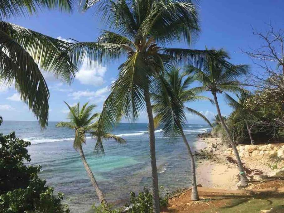 Villa Ti Bleu Caraibes 8 Personnes A St Francois Saint-Francois  Exterior foto
