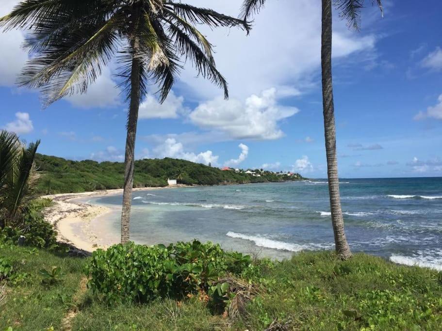 Villa Ti Bleu Caraibes 8 Personnes A St Francois Saint-Francois  Exterior foto